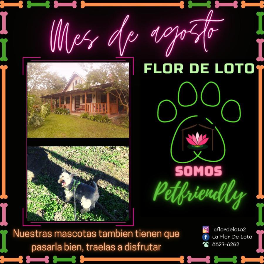 La Flor De Loto Cartago Exterior foto